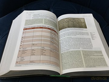 NIV Zondervan Study Bible (Anglicised): Leather - New International Version [KSIĄŻKA]