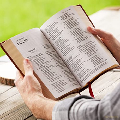 NKJV, End-of-Verse Reference Bible, Personal Size Large Print, Leathersoft, Green, Red Letter, Thumb Indexed, Comfort Print: Holy Bible, New King James Version - Thomas Nelson [KSIĄŻKA]