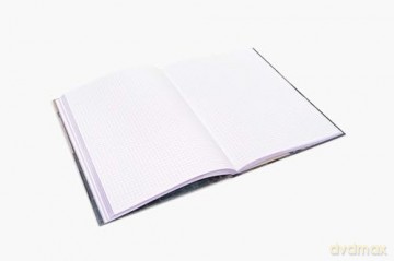 Noah Davis: The Journal (The Artist Journals) - Noah Davis [KSIĄŻKA]