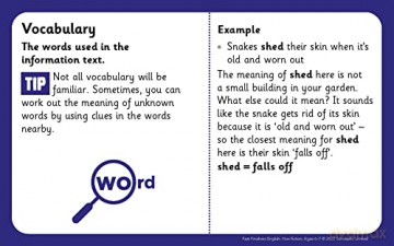 Non-fiction comprehension challenge cards for gifted readers Ages 6-7 to help master reading skills. (Fast Finishers English) - Shelley Welsh [KSIĄŻKA]