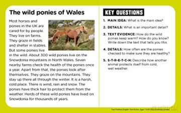 Non-fiction comprehension challenge cards for gifted readers Ages 7-8 to help master reading skills. (Fast Finishers English) - Jane Wood [KSIĄŻKA]