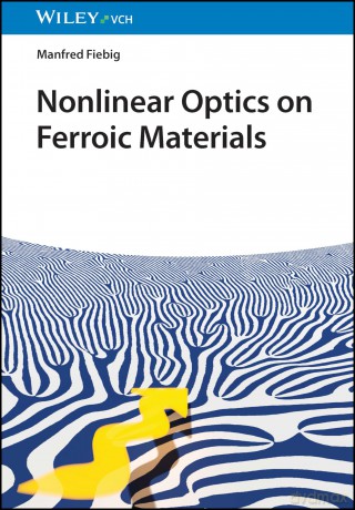 Nonlinear Optics on Ferroic Materials - Manfred Fiebig [KSIĄŻKA]