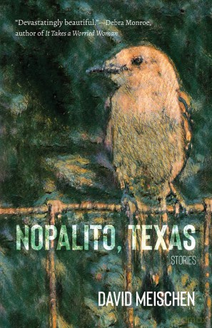 Nopalito, Texas: Stories (Lynn and Lynda Miller Southwest Fiction Series) [KSIĄŻKA]
