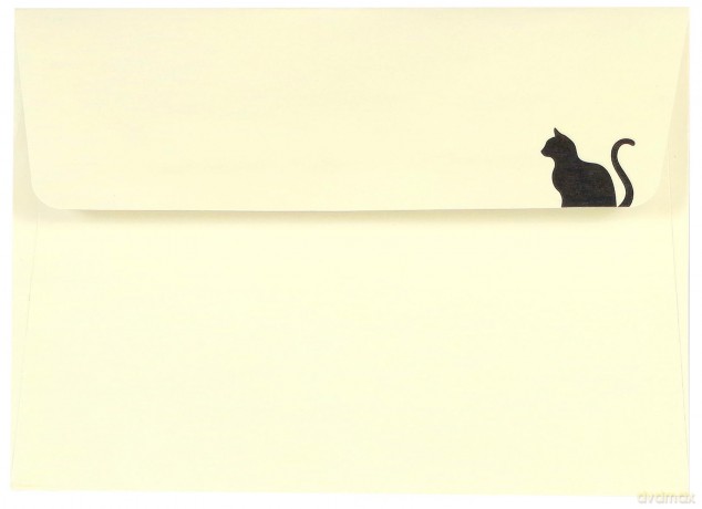 Note Card Black Cat [KSIĄŻKA]