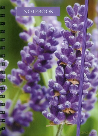 Notebook Lavender (Notebooks) - Peony Press [KSIĄŻKA]