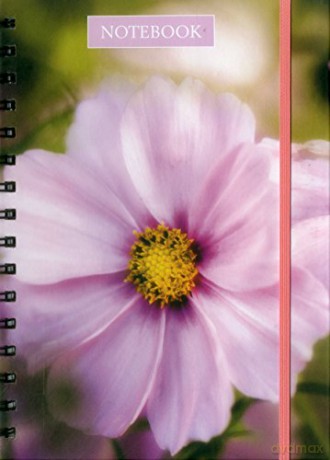 Notebook Pink Cosmos: 128 Page Fine Line Notebook (Notebooks) - Peony Press [KSIĄŻKA]