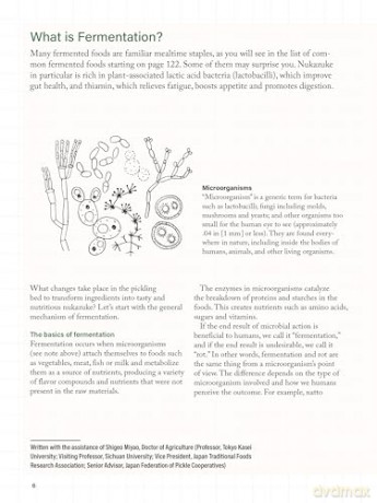 Nukazuke: The Japanese Art of Fermented Pickling - Nami Yamada [KSIĄŻKA]