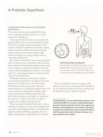 Nukazuke: The Japanese Art of Fermented Pickling - Nami Yamada [KSIĄŻKA]
