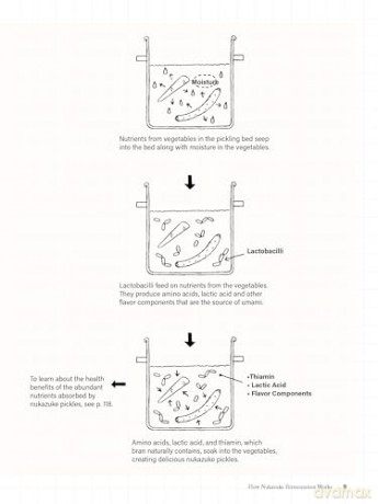 Nukazuke: The Japanese Art of Fermented Pickling - Nami Yamada [KSIĄŻKA]