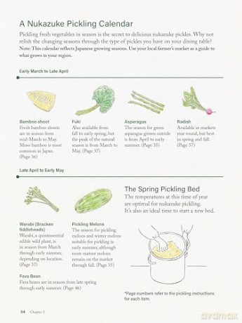 Nukazuke: The Japanese Art of Fermented Pickling - Nami Yamada [KSIĄŻKA]