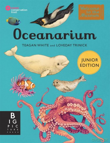 Oceanarium (Junior Edition) (Welcome To The Museum) - Loveday Trinick [KSIĄŻKA]