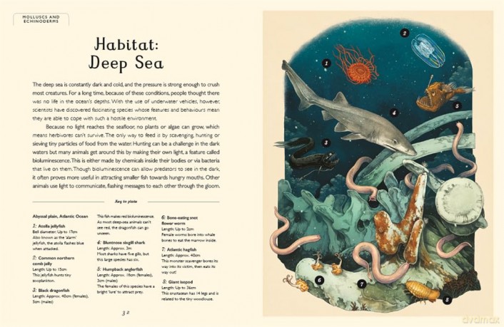 Oceanarium (Junior Edition) (Welcome To The Museum) - Loveday Trinick [KSIĄŻKA]