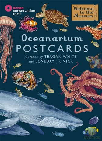Oceanarium Postcards (Welcome To The Museum) - Loveday Trinick [KALENDARZ]