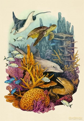 Oceanarium Postcards (Welcome To The Museum) - Loveday Trinick [KALENDARZ]