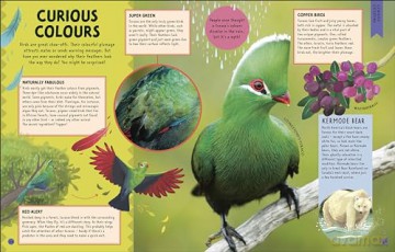 Odd Animals Out (Wonders of Wildlife) - Ben Hoare [KSIĄŻKA]