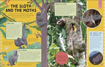 Odd Animals Out (Wonders of Wildlife) - Ben Hoare [KSIĄŻKA]