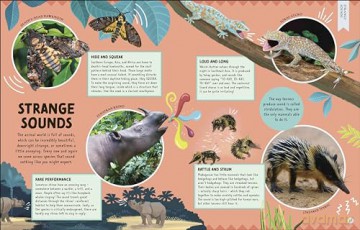 Odd Animals Out (Wonders of Wildlife) - Ben Hoare [KSIĄŻKA]