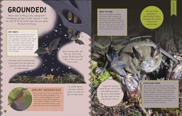 Odd Animals Out (Wonders of Wildlife) - Ben Hoare [KSIĄŻKA]