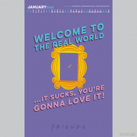 Official Friends 2022 Calendar - Special Edition Calendar With Detachable Artwork For Framing (The Official Friends Special Edition A3 Calendar) - Danilo Promotions LTD [KALENDARZ]