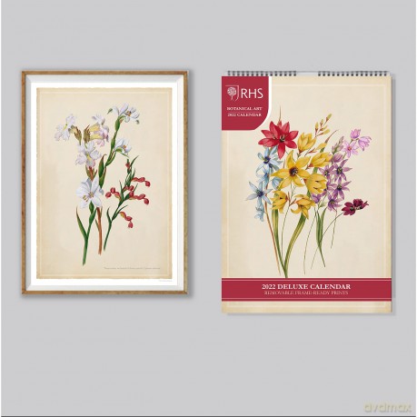 Official Royal Horticultural Society 2022 Calendar - Special Edition Calendar With Detachable Artwork For Framing - Danilo Promotions LTD [KALENDARZ]