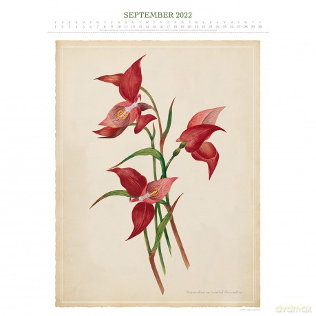 Official Royal Horticultural Society 2022 Calendar - Special Edition Calendar With Detachable Artwork For Framing - Danilo Promotions LTD [KALENDARZ]