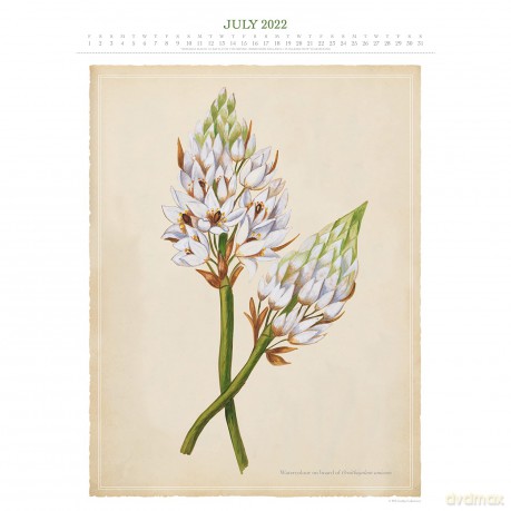 Official Royal Horticultural Society 2022 Calendar - Special Edition Calendar With Detachable Artwork For Framing - Danilo Promotions LTD [KALENDARZ]