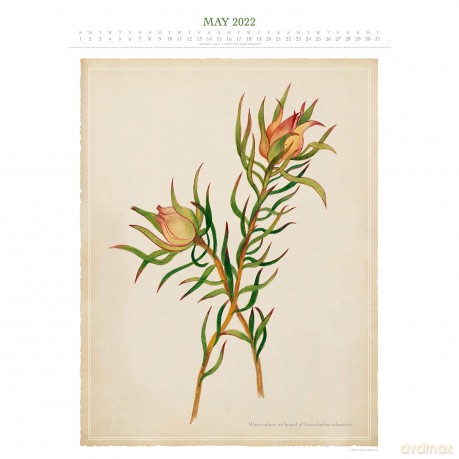 Official Royal Horticultural Society 2022 Calendar - Special Edition Calendar With Detachable Artwork For Framing - Danilo Promotions LTD [KALENDARZ]
