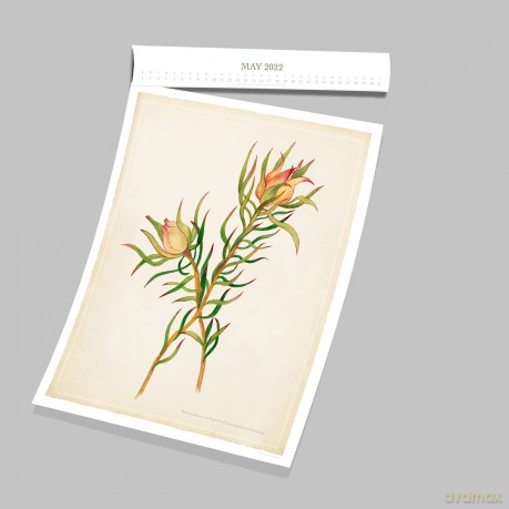 Official Royal Horticultural Society 2022 Calendar - Special Edition Calendar With Detachable Artwork For Framing - Danilo Promotions LTD [KALENDARZ]