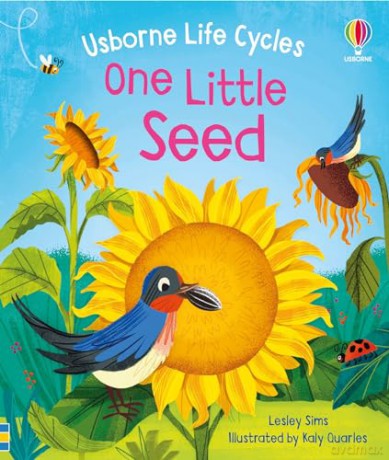 One Little Seed (Life Cycles) - Lesley Sims [KSIĄŻKA]