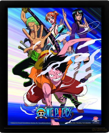 One Piece 3D Lenticular Poster in Box Frame (Straw Hat Pirates Assault Design) 25cm x 20cm x 1.5cm - Official Merchandise [KSIĄŻKA]