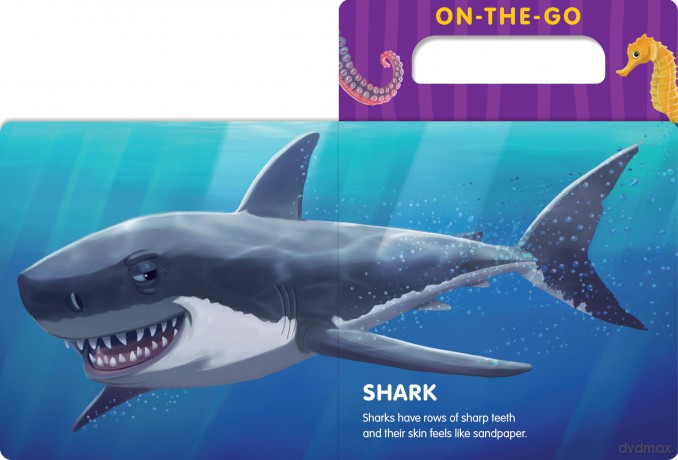 On-the-Go Ocean Animals - 7 Cats [KSIĄŻKA]