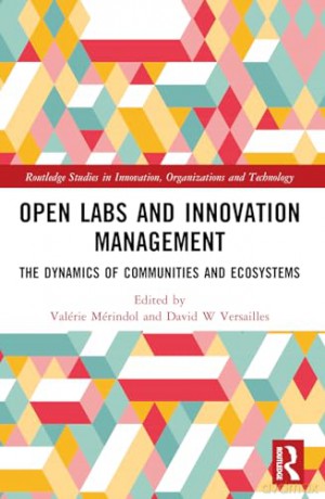 Open Labs and Innovation Management: The Dynamics of Communities and Ecosystems (Routledge Studies in Innovation, Organizations and Technology) - Sami Main [KSIĄŻKA]