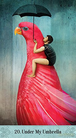 Oracle of Mystical Moments - Catrin Welz-Stein [KSIĄŻKA]