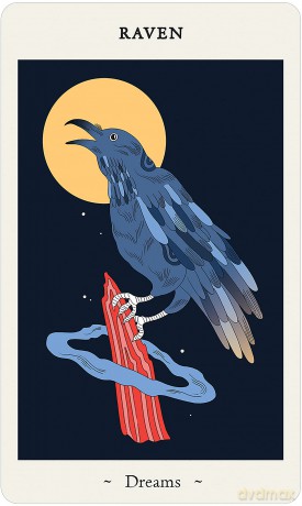 Oracle of Novice Witches: Messages from the Magical World - Elisa Macellari [KSIĄŻKA]