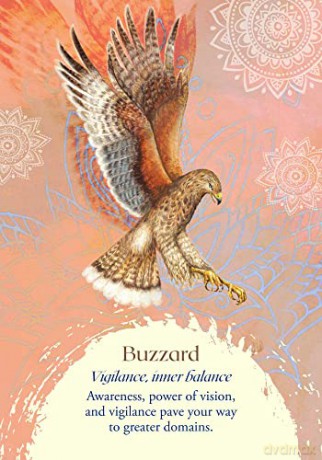 Oracle of the Birds: A 46-Card Deck and Guidebook - Jeanne Ruland [KSIĄŻKA]