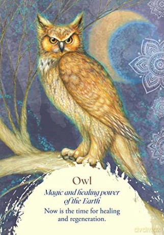 Oracle of the Birds: A 46-Card Deck and Guidebook - Jeanne Ruland [KSIĄŻKA]