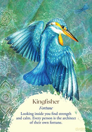 Oracle of the Birds: A 46-Card Deck and Guidebook - Jeanne Ruland [KSIĄŻKA]