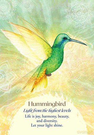 Oracle of the Birds: A 46-Card Deck and Guidebook - Jeanne Ruland [KSIĄŻKA]