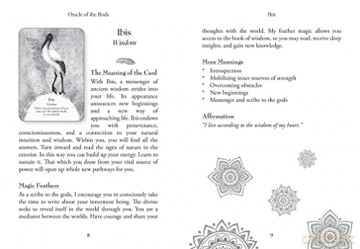 Oracle of the Birds: A 46-Card Deck and Guidebook - Jeanne Ruland [KSIĄŻKA]