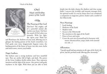Oracle of the Birds: A 46-Card Deck and Guidebook - Jeanne Ruland [KSIĄŻKA]