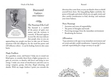 Oracle of the Birds: A 46-Card Deck and Guidebook - Jeanne Ruland [KSIĄŻKA]