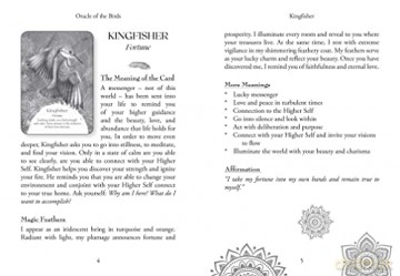 Oracle of the Birds: A 46-Card Deck and Guidebook - Jeanne Ruland [KSIĄŻKA]