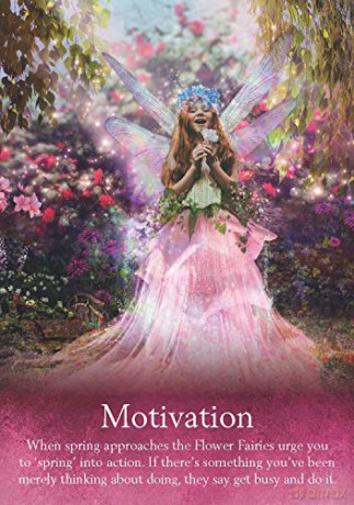 Oracle of the Fairies: A 44-Card Deck and Guidebook - Karen Kay [KSIĄŻKA]
