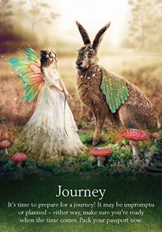Oracle of the Fairies: A 44-Card Deck and Guidebook - Karen Kay [KSIĄŻKA]