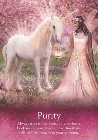 Oracle of the Fairies: A 44-Card Deck and Guidebook - Karen Kay [KSIĄŻKA]