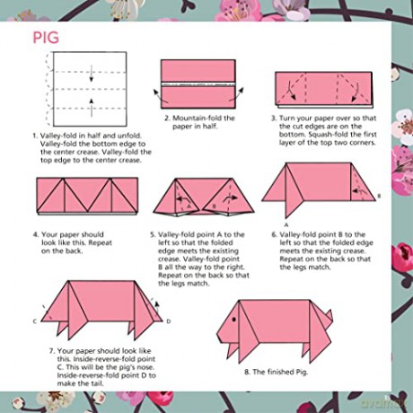 Origami Cherry Blossoms Paper Pack Book: 256 Double-Sided Folding Sheets with 16 Different Cherry Blossom Patterns with solid colors on the back (Includes Instructions for 8 Models) [KSIĄŻKA]