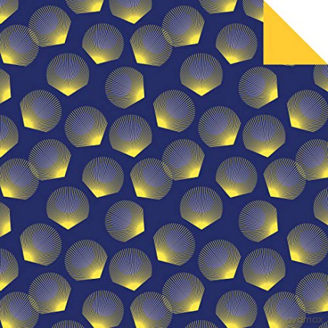 Origami Chiyogami Paper Pack Book: 256 Double-Sided Folding Sheets (Includes Instructions for 8 Projects): 256 Double-Sided Folding Sheets (Includes Instructions for 8 Models) [KSIĄŻKA]