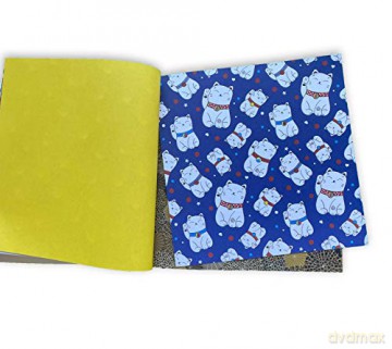 Origami Chiyogami Paper Pack Book: 256 Double-Sided Folding Sheets (Includes Instructions for 8 Projects): 256 Double-Sided Folding Sheets (Includes Instructions for 8 Models) [KSIĄŻKA]