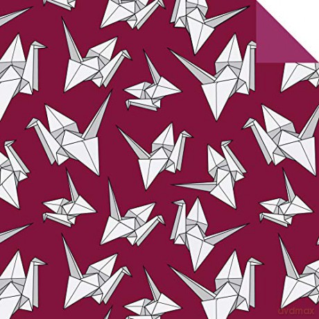 Origami Chiyogami Paper Pack Book: 256 Double-Sided Folding Sheets (Includes Instructions for 8 Projects): 256 Double-Sided Folding Sheets (Includes Instructions for 8 Models) [KSIĄŻKA]