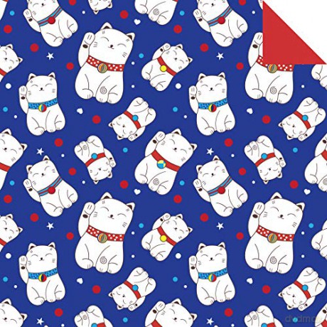 Origami Chiyogami Paper Pack Book: 256 Double-Sided Folding Sheets (Includes Instructions for 8 Projects): 256 Double-Sided Folding Sheets (Includes Instructions for 8 Models) [KSIĄŻKA]